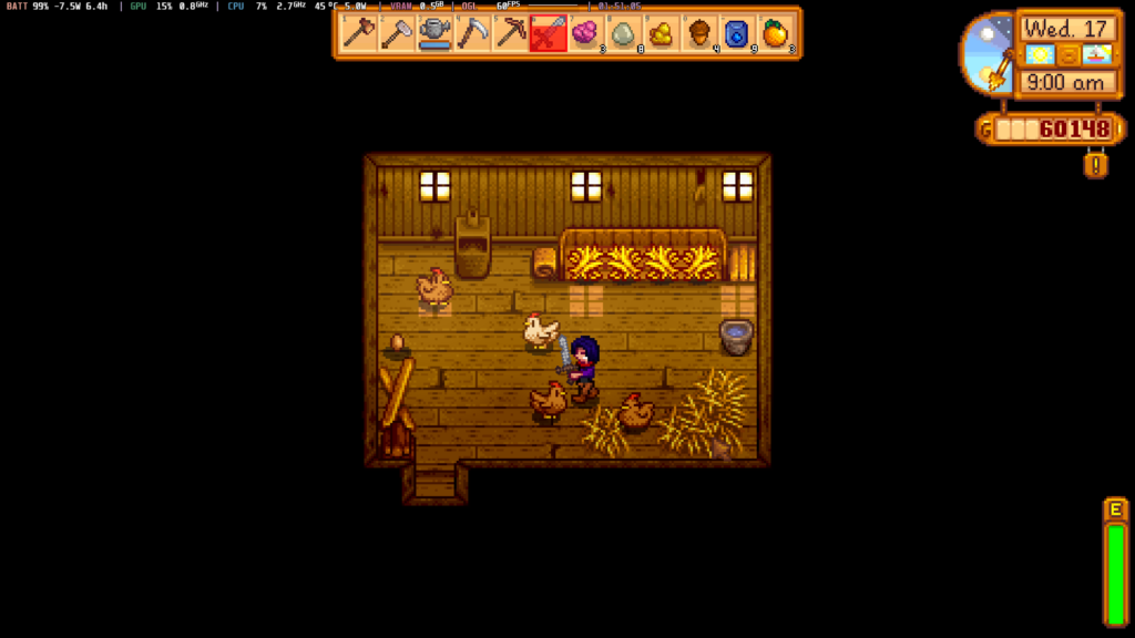 StardewValleyOneXFly2